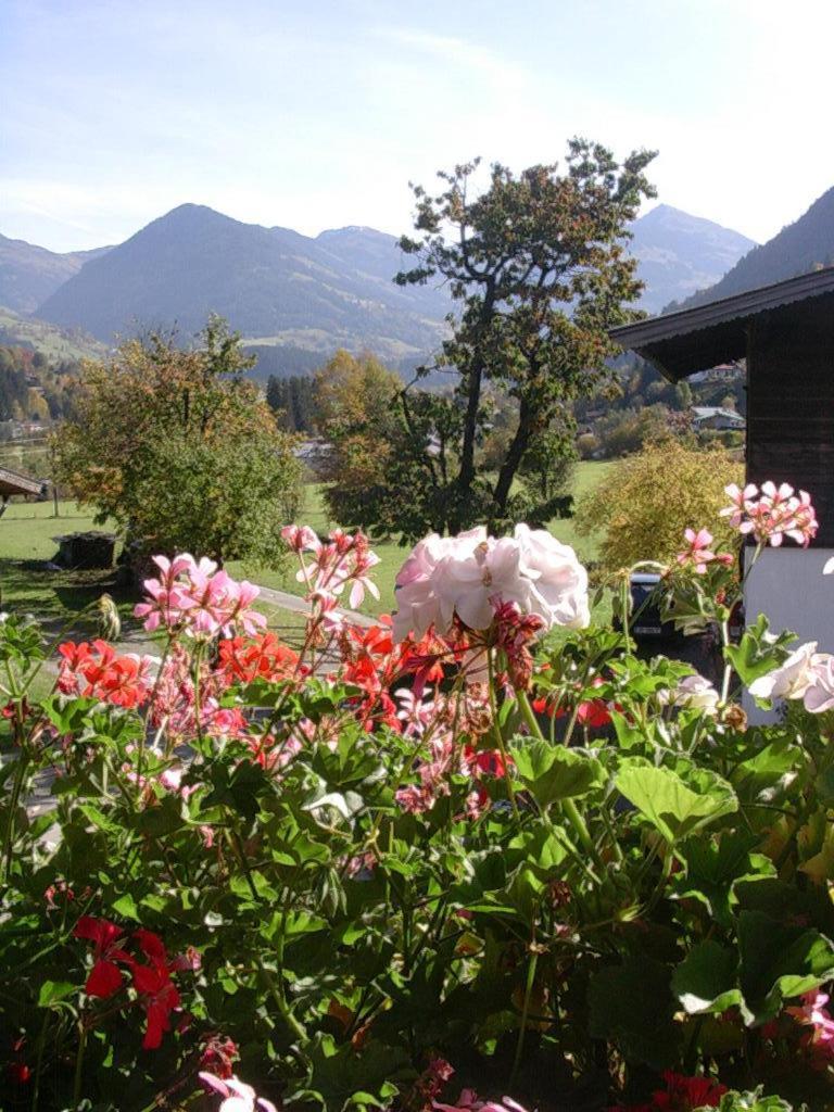 Malernhof Bed & Breakfast Kitzbuhel Bagian luar foto